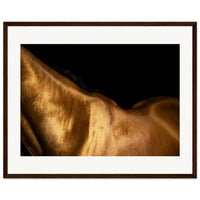 50c2c407-fa79-4162-a1b7-e0733a0e2acb