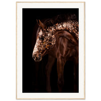 50c77358-76d7-463a-95b1-c7116b178077