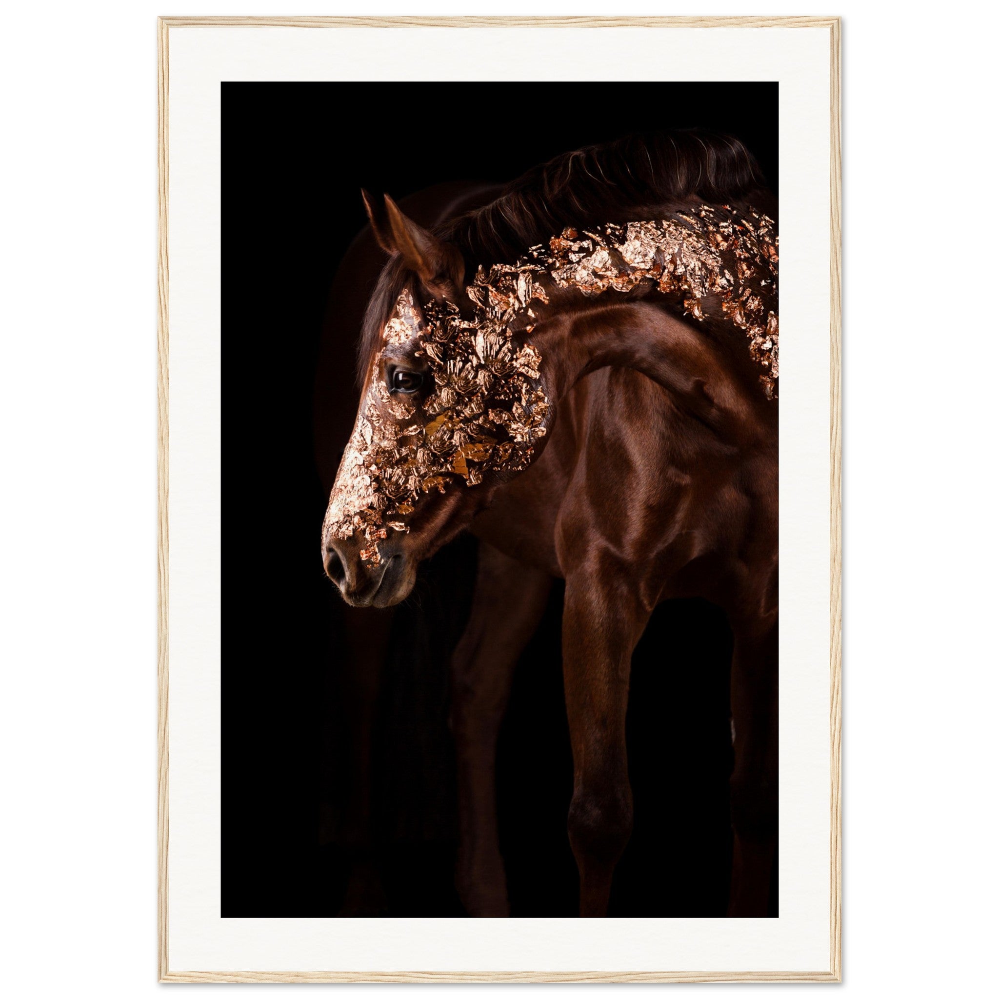 50c77358-76d7-463a-95b1-c7116b178077