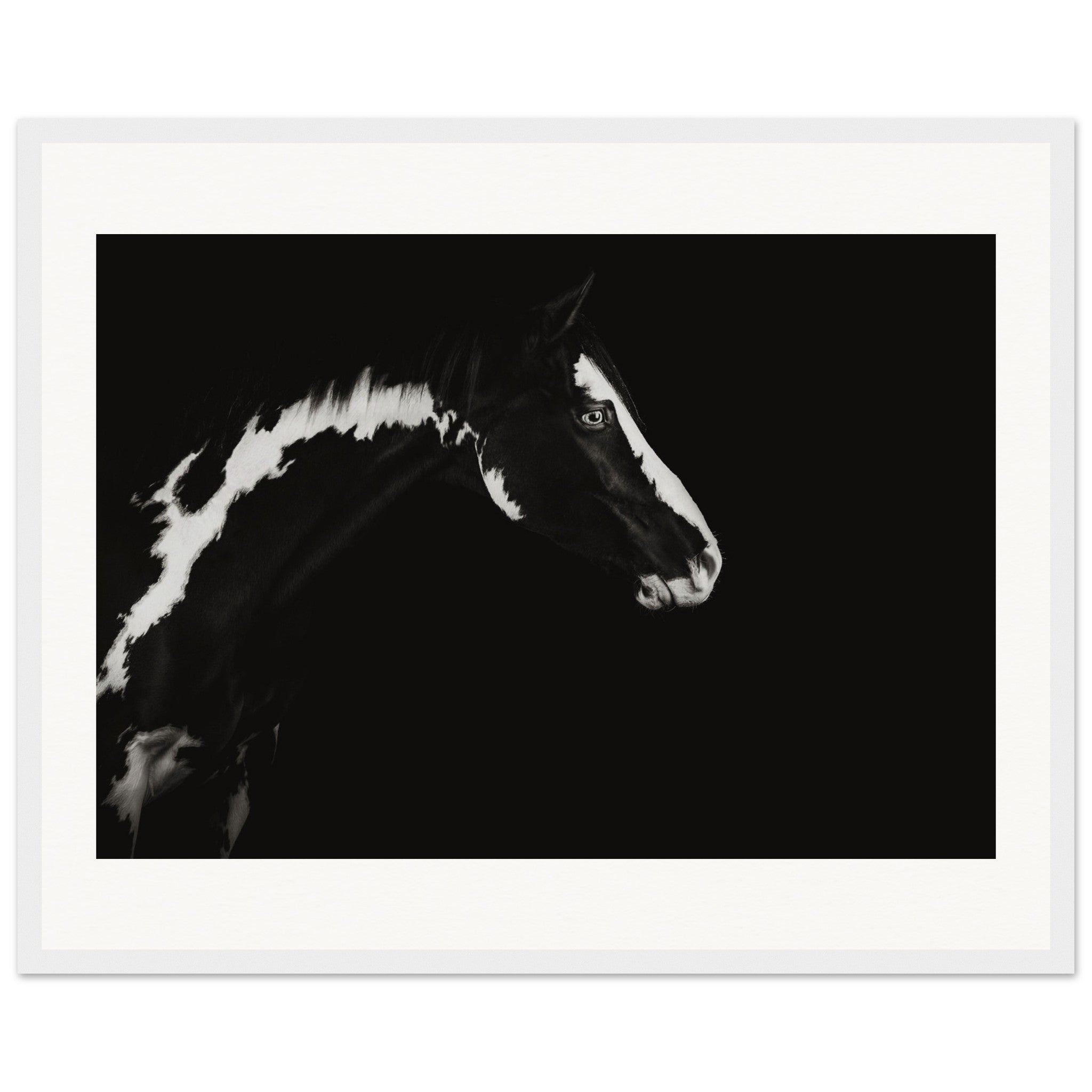 50d5eec9-7af4-4a93-9119-753db21e686c