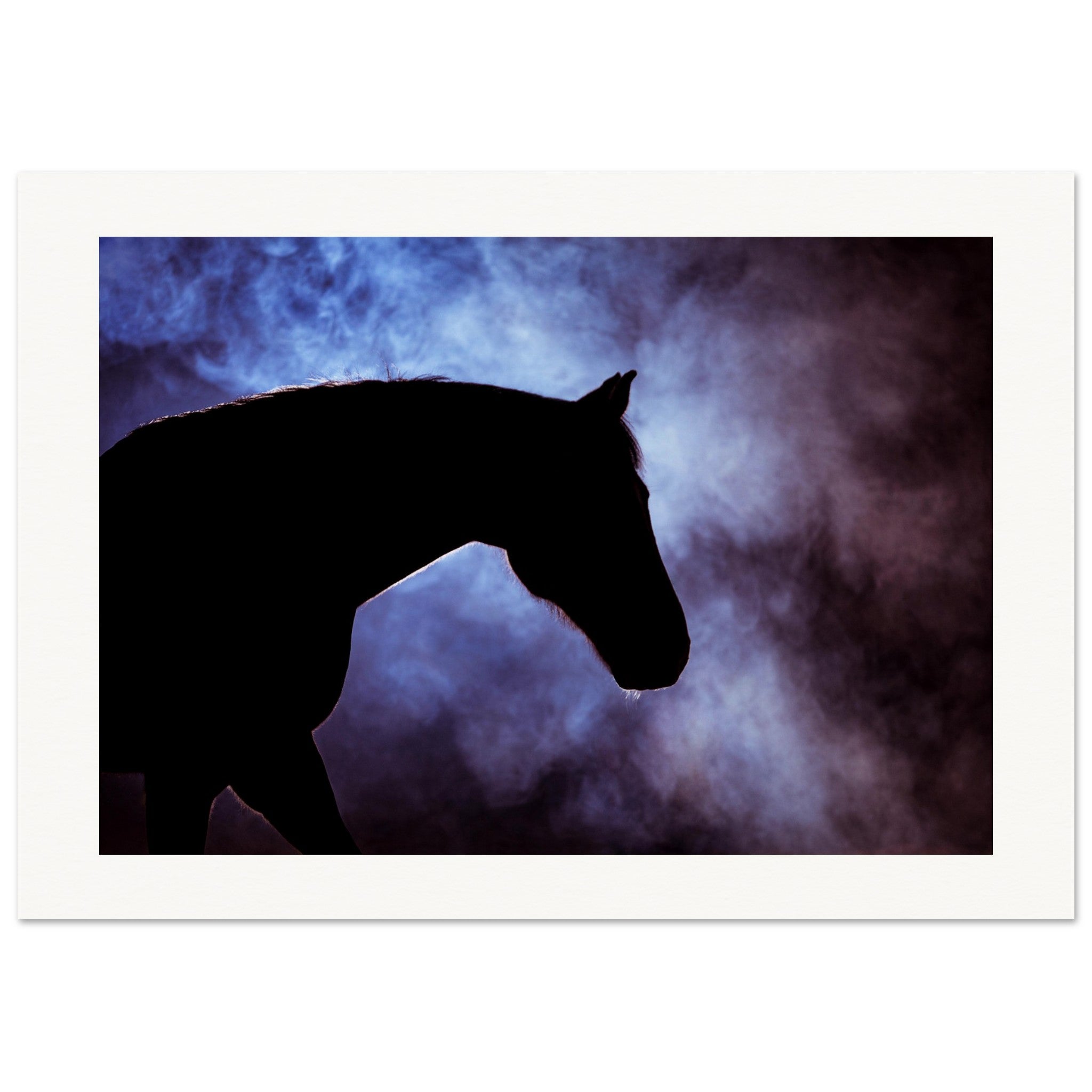 50ed3259-0c47-4442-a2ad-d08b5a64a360