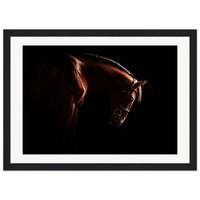 50fbf2fc-2799-49a0-8a02-bccccc685452