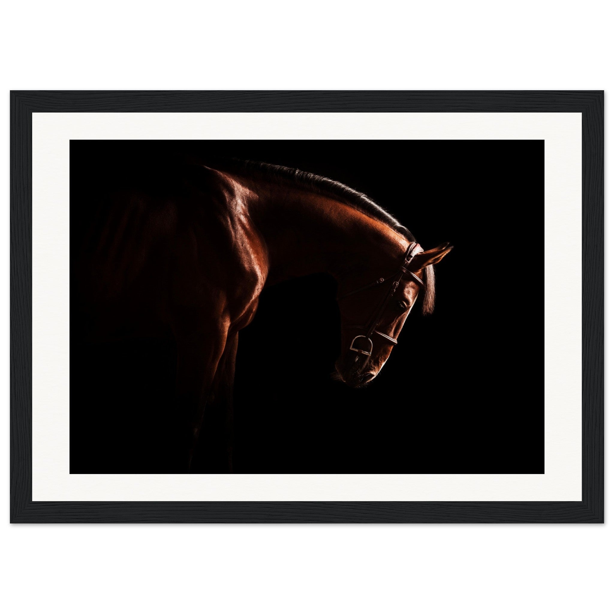 50fbf2fc-2799-49a0-8a02-bccccc685452