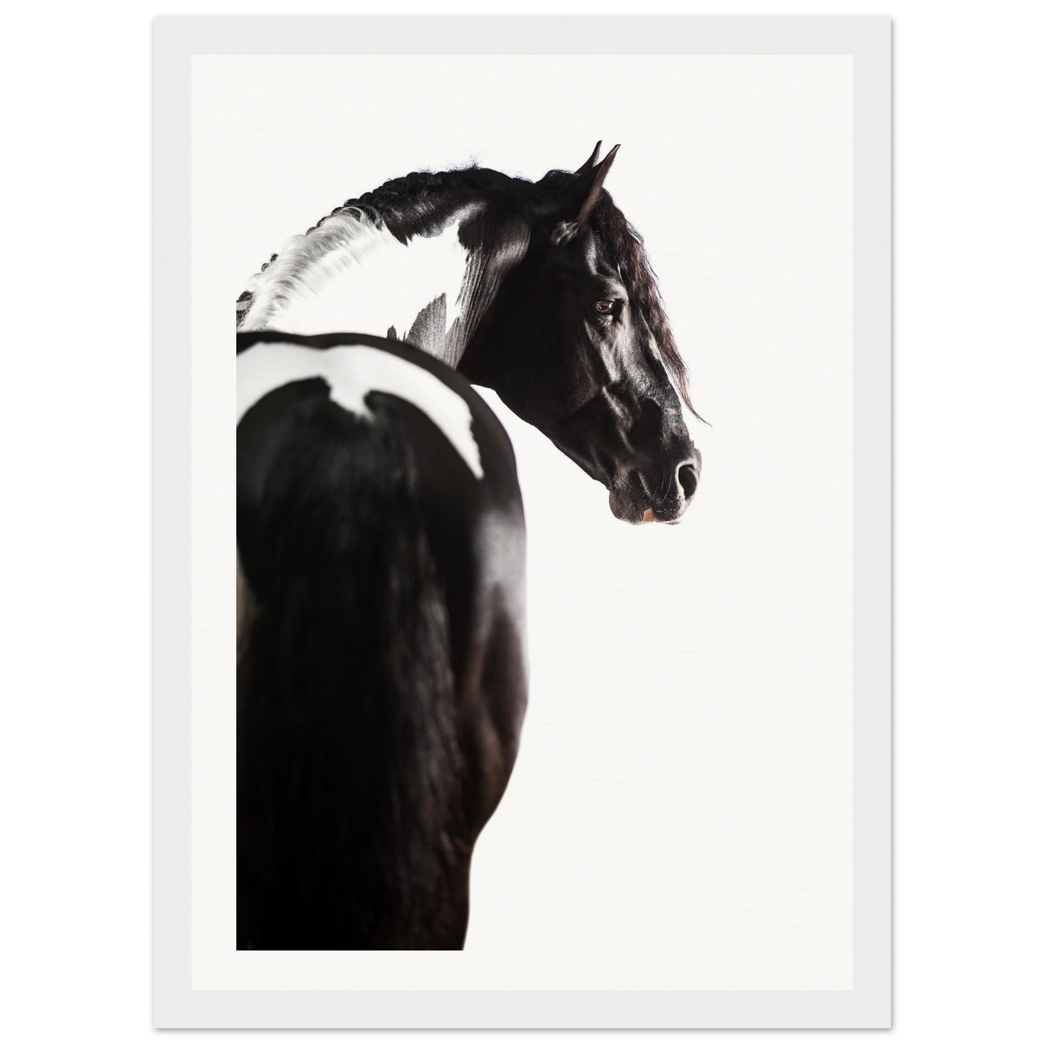 51040043-6c6d-46fa-a3fe-0948b1860c68