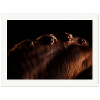 511667ab-4470-4933-990e-2e1894072120