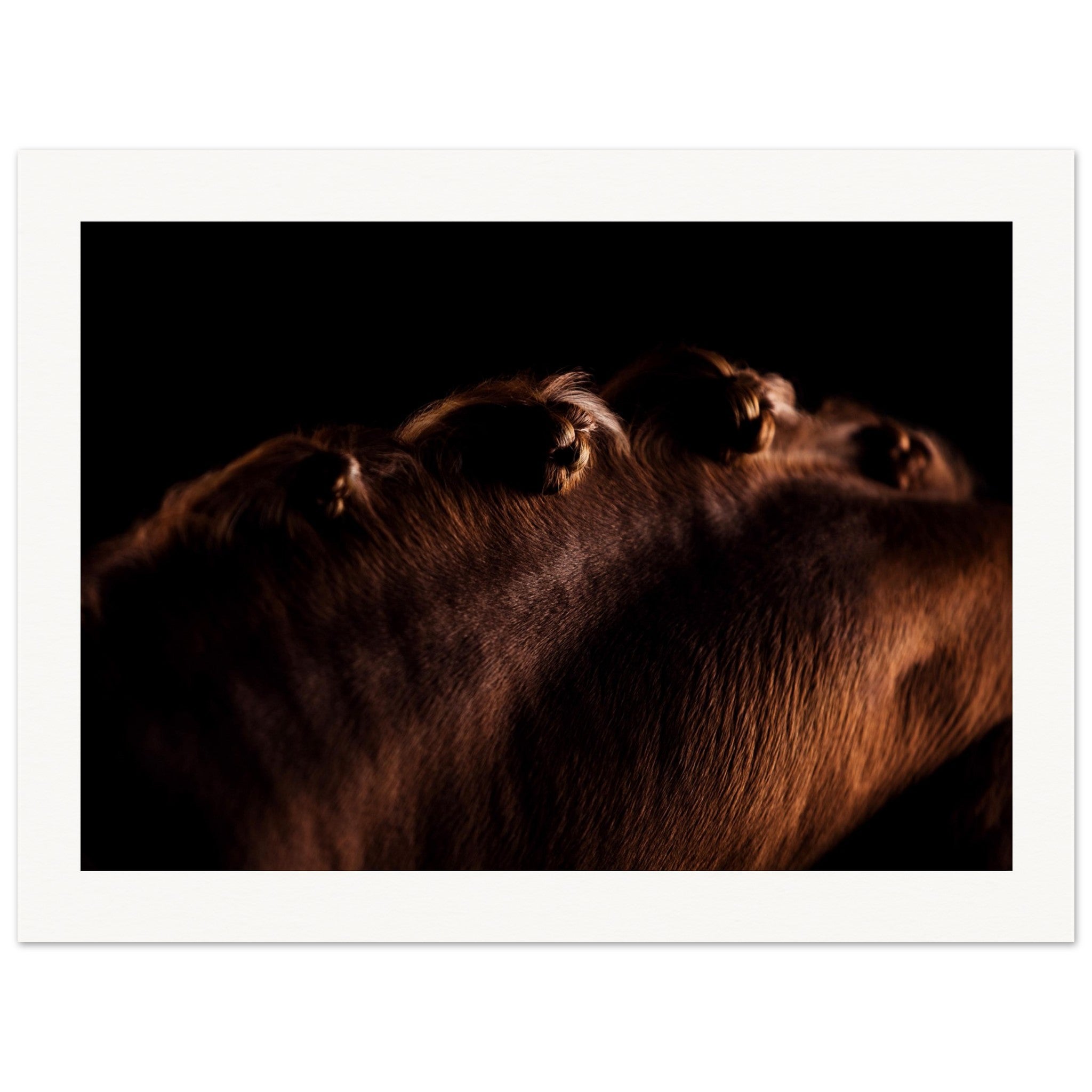 511667ab-4470-4933-990e-2e1894072120