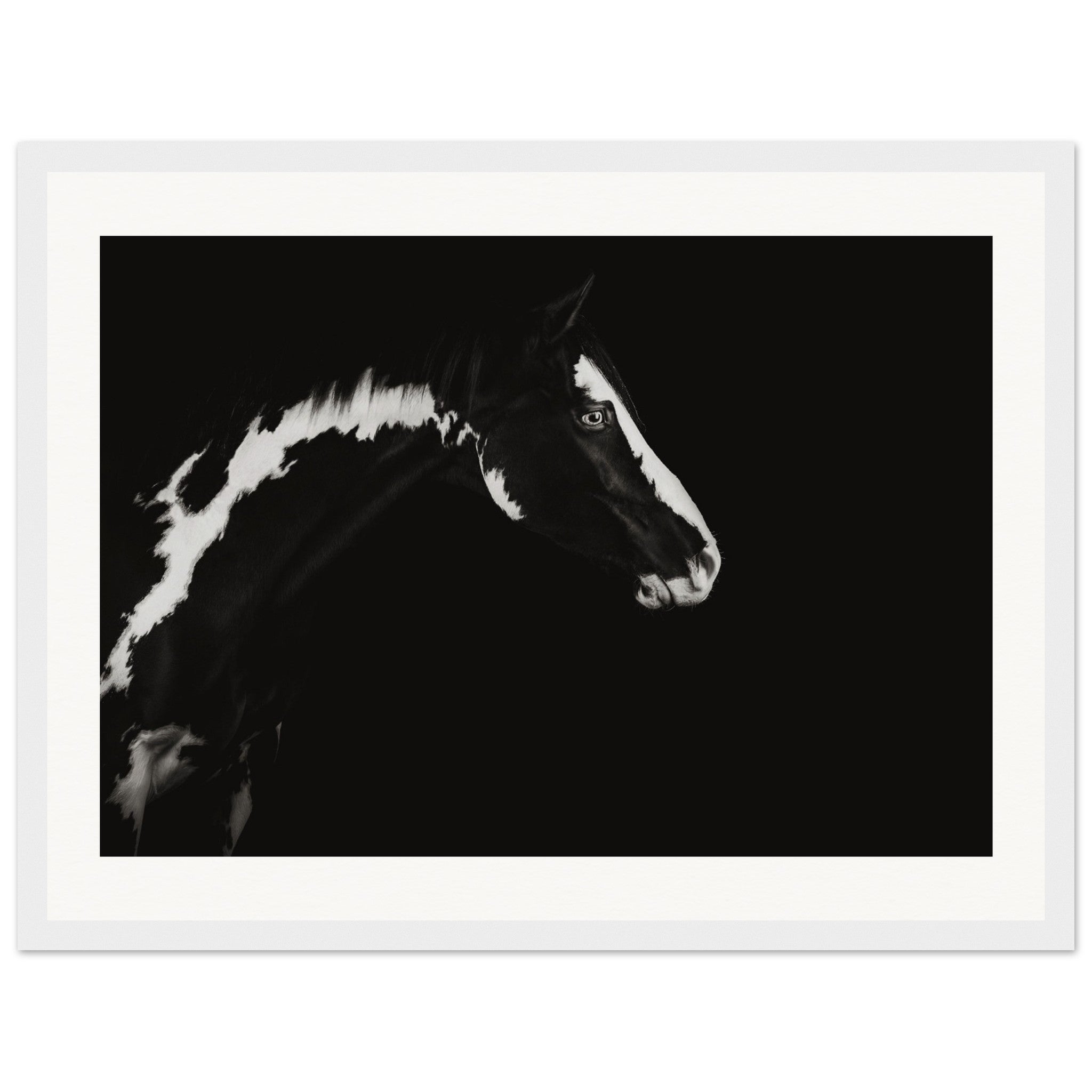 5121254a-9606-45aa-9f9b-bda5c760ee5d