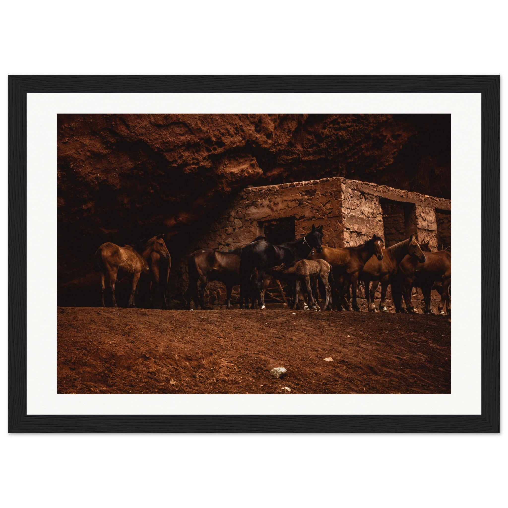 513b5f86-040c-4d01-b247-169a84ac11c5