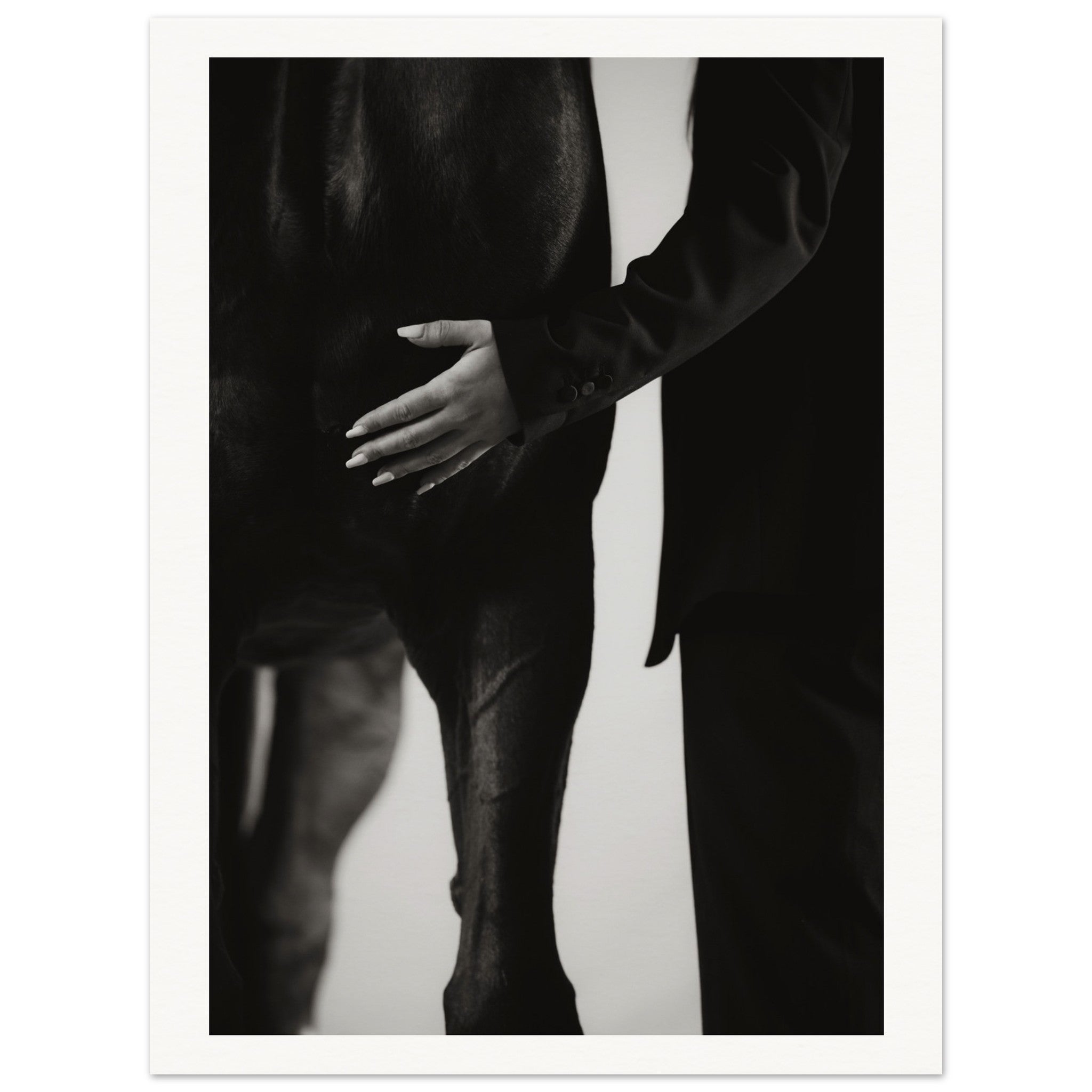 5151ada3-e535-4a0a-b9ca-3da59493a26b