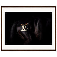 5163671b-8e6d-45d8-a0ca-db20965c9820