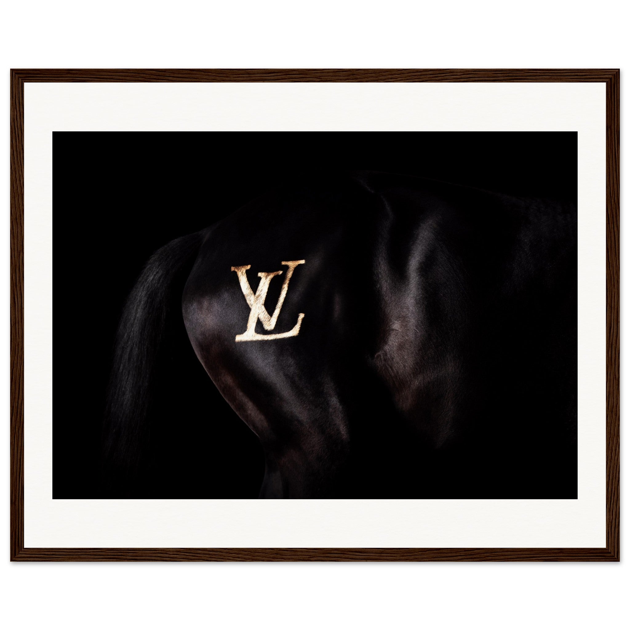 5163671b-8e6d-45d8-a0ca-db20965c9820