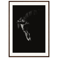 518d657d-12e1-48ff-b980-da791868b28b