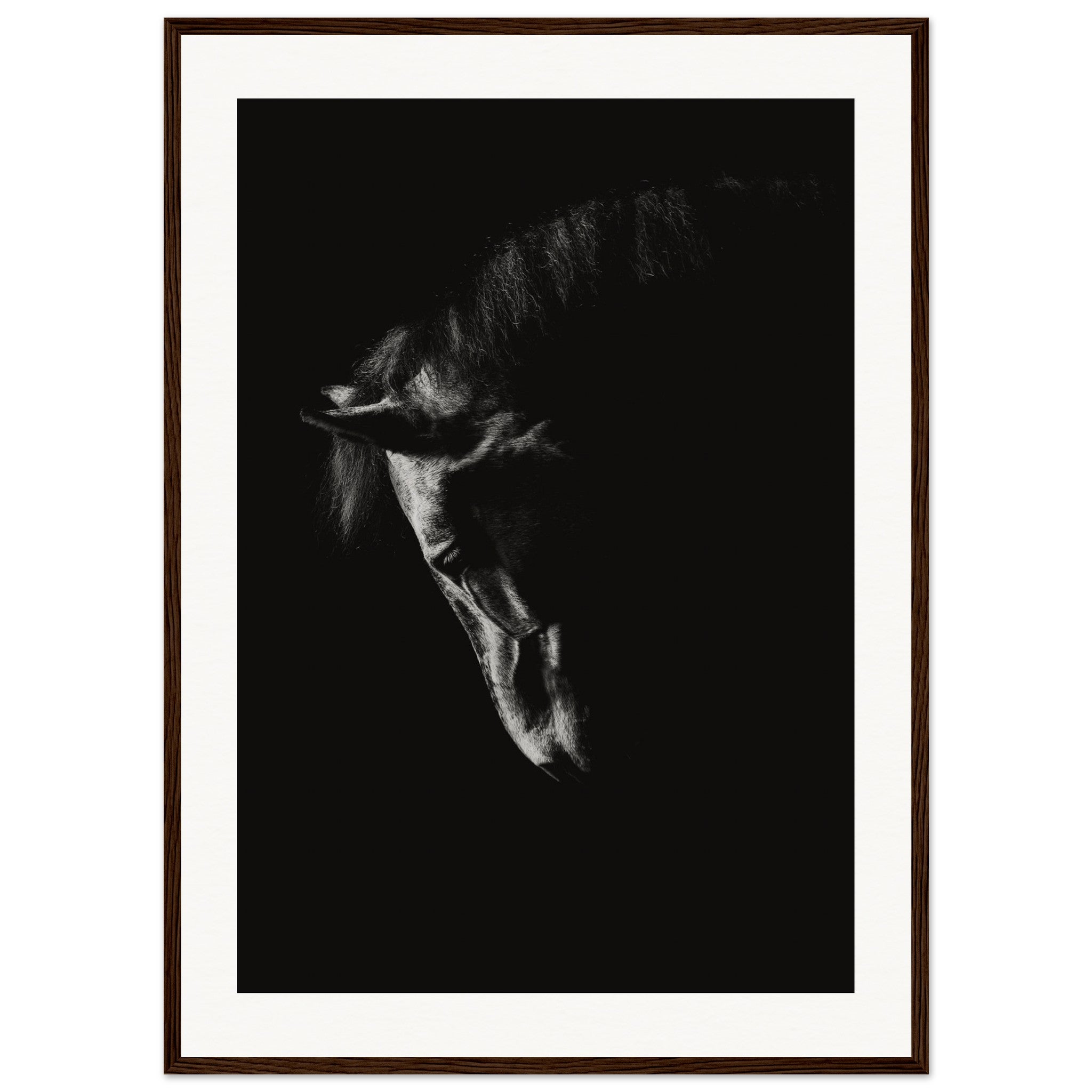 518d657d-12e1-48ff-b980-da791868b28b