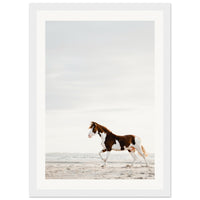 51999587-7653-416c-b257-ab6210d291ee