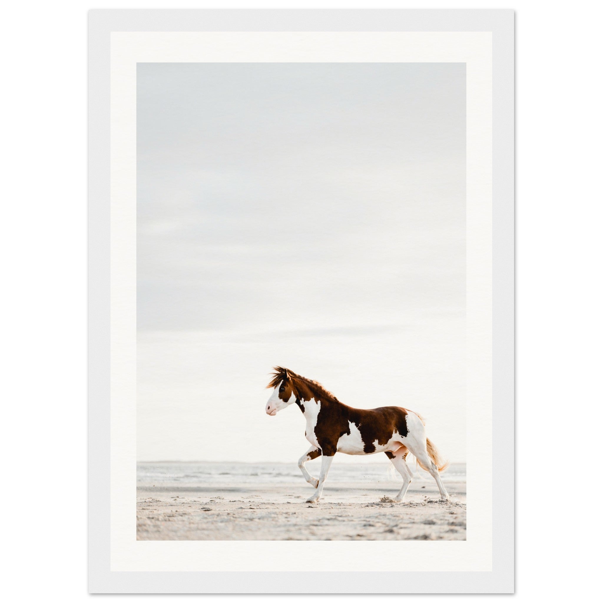 51999587-7653-416c-b257-ab6210d291ee