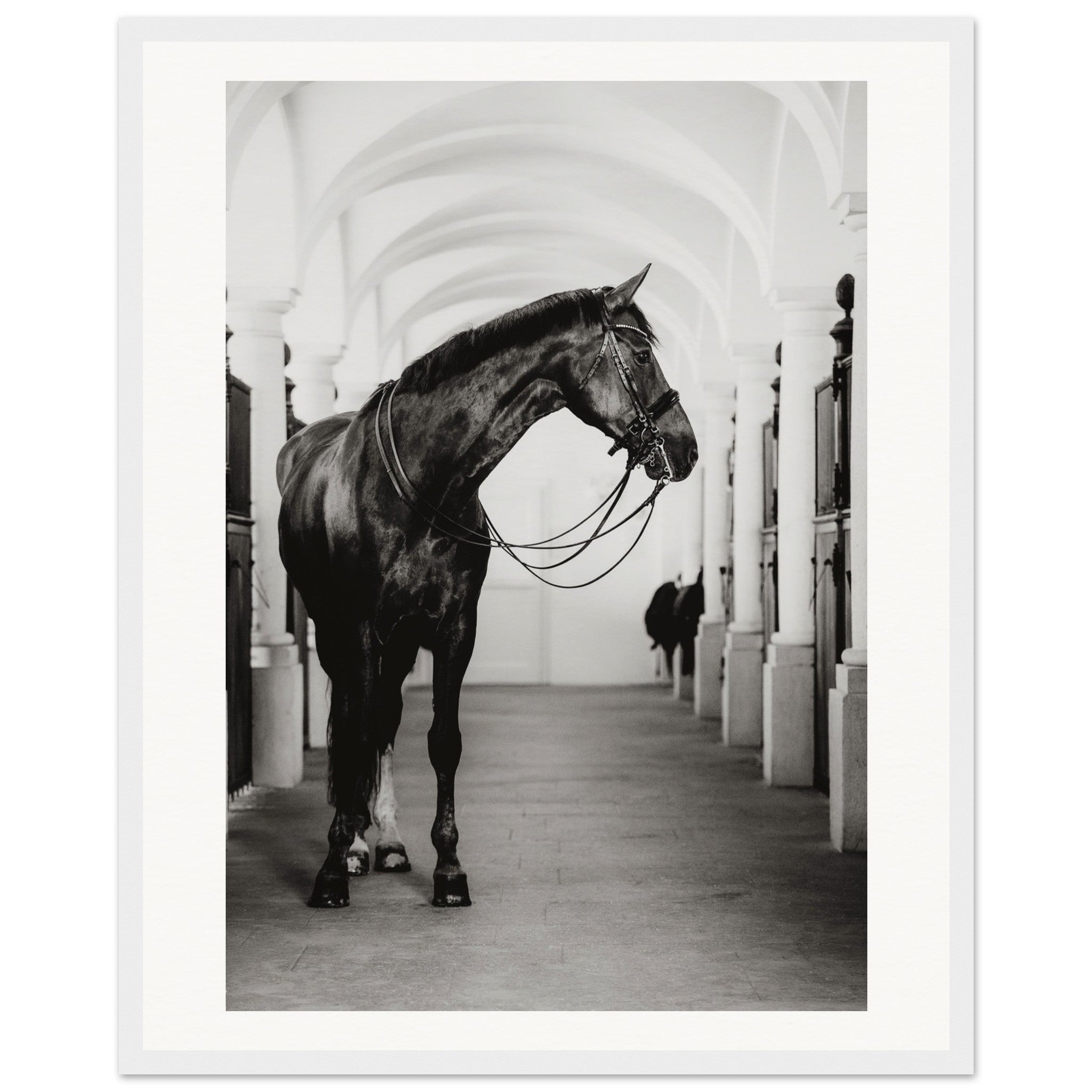 519dfefb-1476-4f58-a83a-ea9ef836d2df