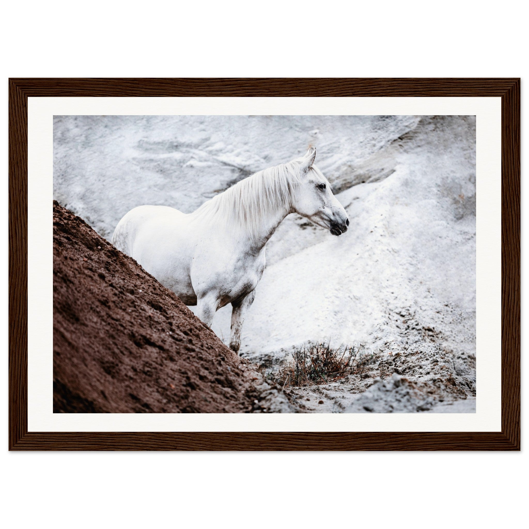 51a1fdee-b1a0-4d06-9550-275027c7b6a2