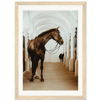 5243e30b-0513-4aa2-8877-8f5c473def9f