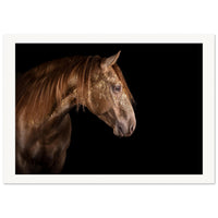 524abc5d-0f4b-4bc8-8fc8-cb3a637bbe88