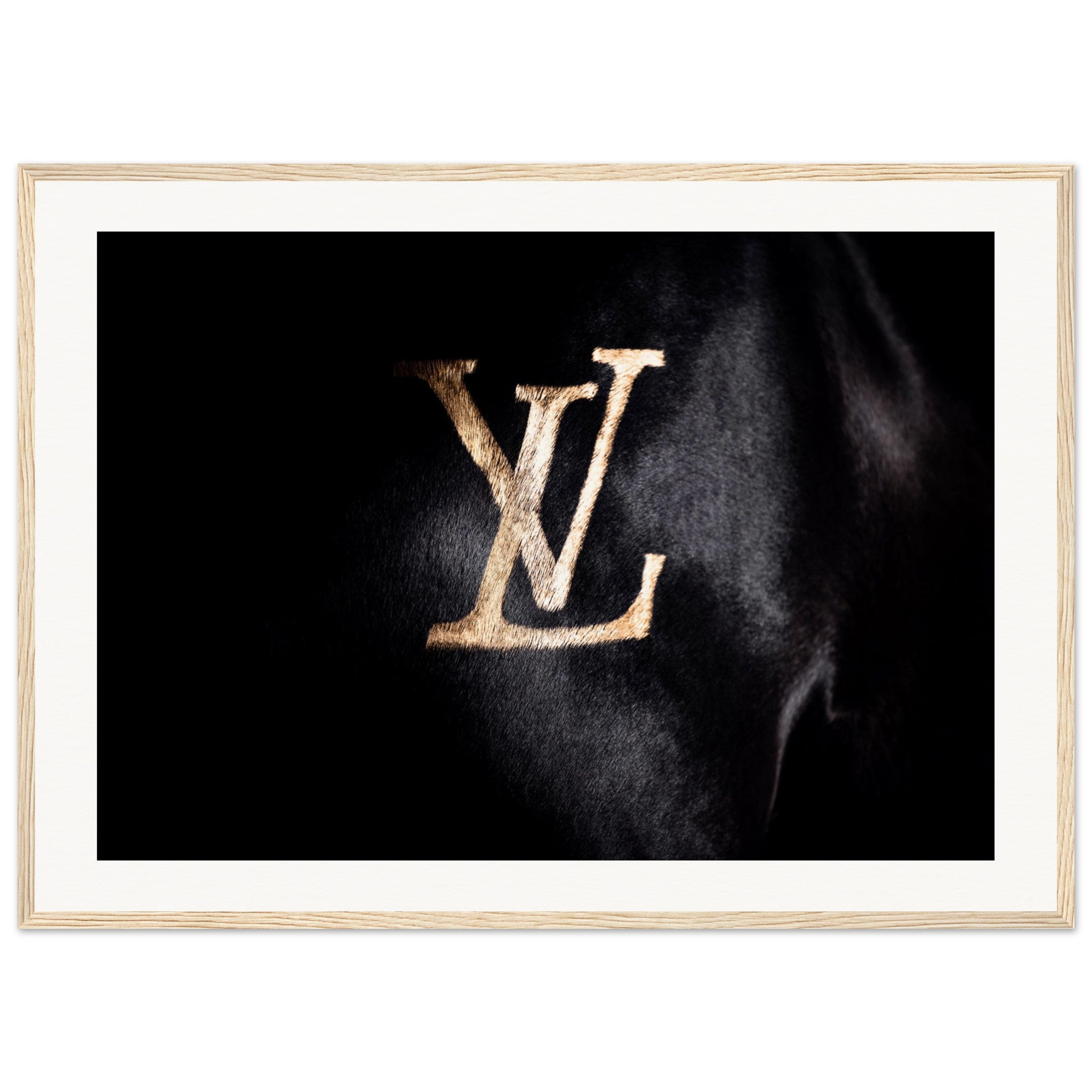 526cfaa0-d5da-47cf-b776-a2b20ffe442d