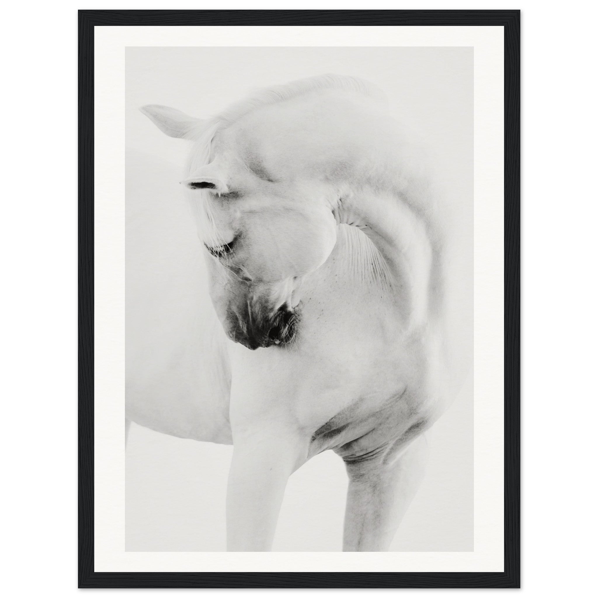 527586ba-a5e0-4370-bc60-ebb17437f50c