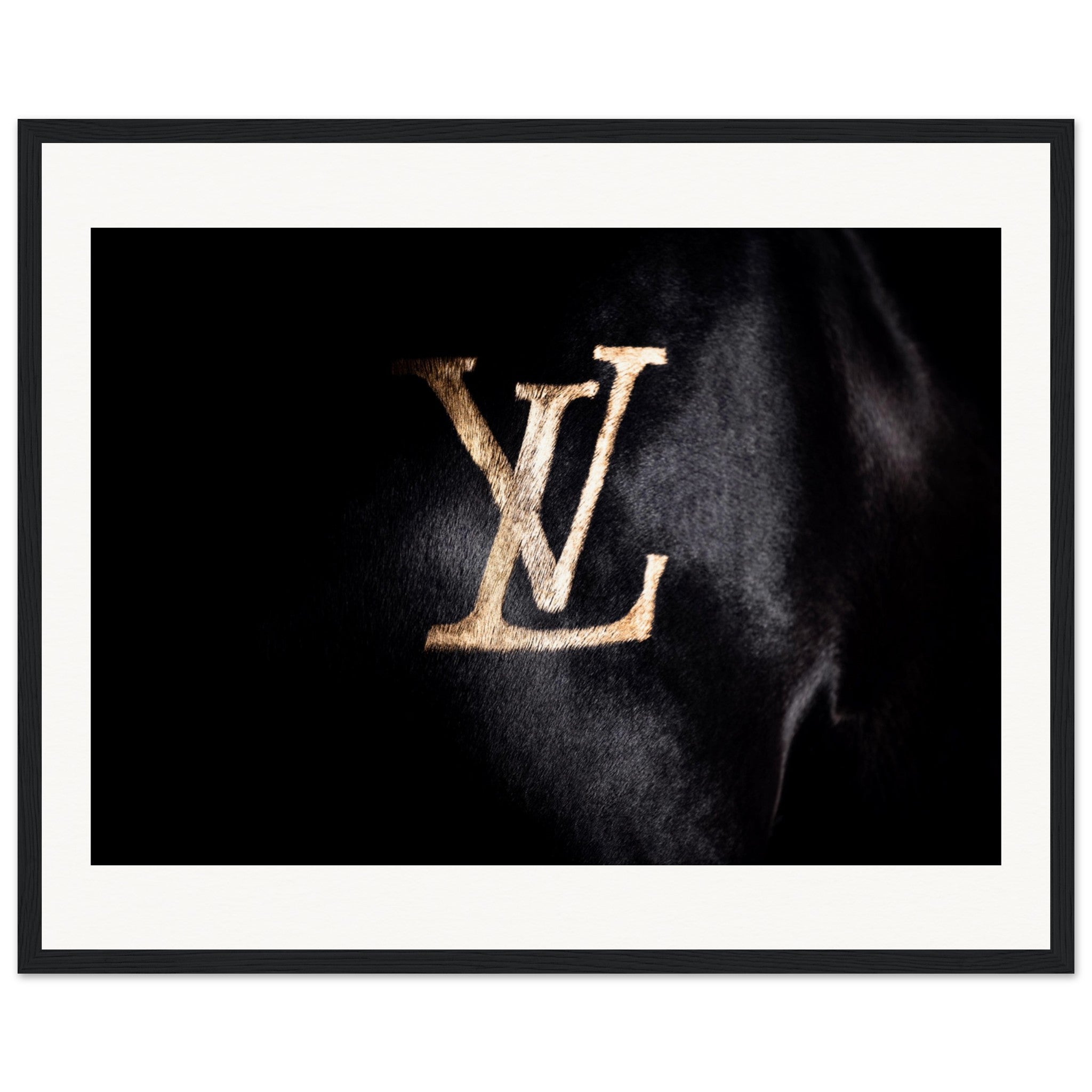 52b00fcb-e07a-4092-8a37-491944f57973