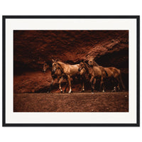 52b8beea-5856-4d00-b7fa-9a7522b21c19