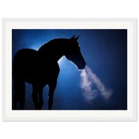 52b943cc-0112-4800-8762-99eb0577a773