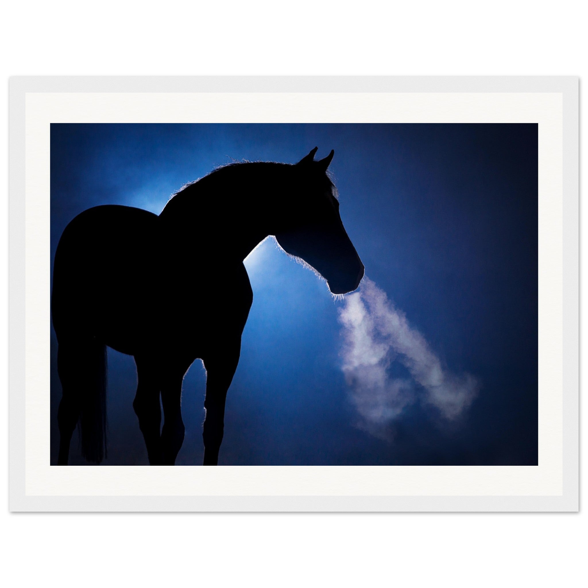 52b943cc-0112-4800-8762-99eb0577a773