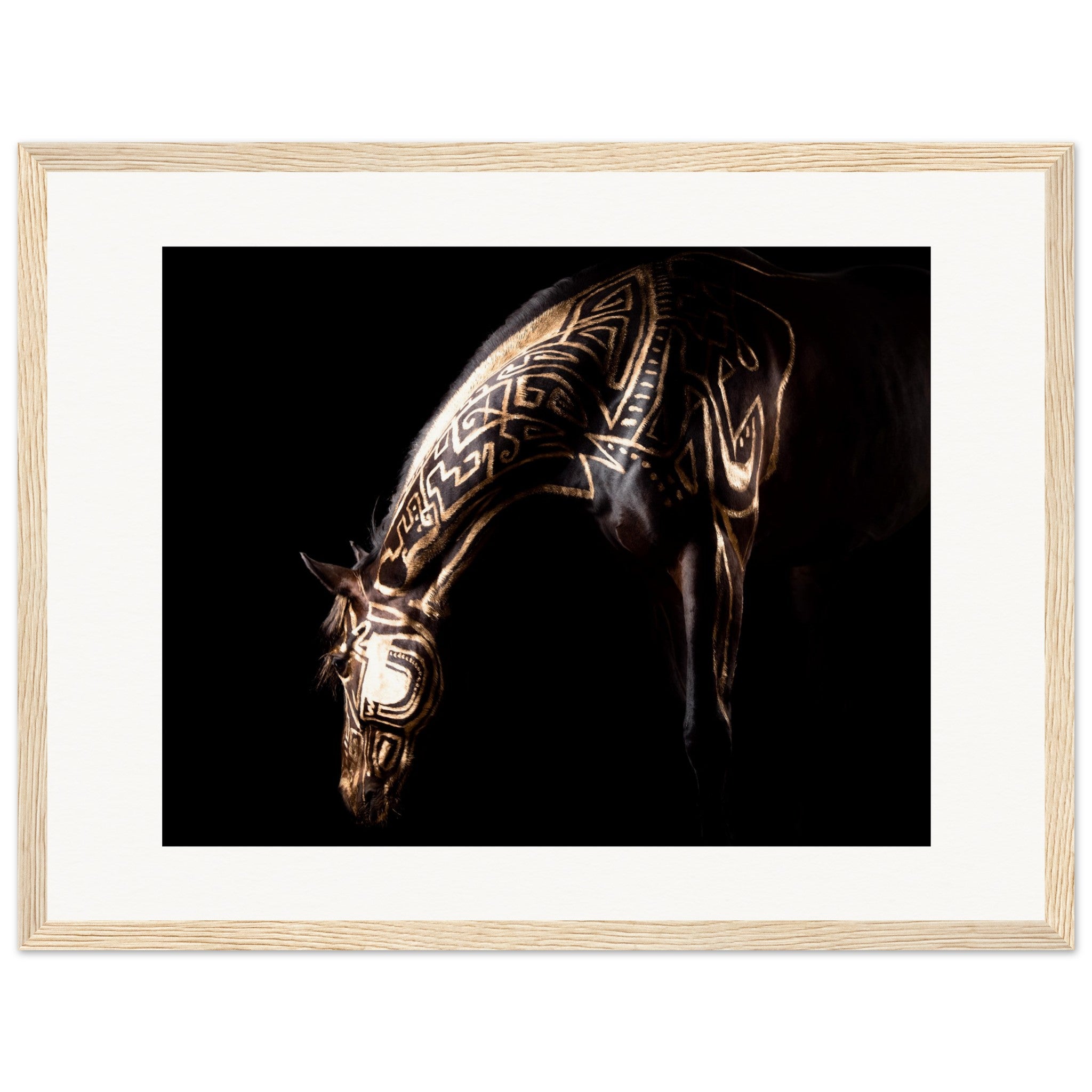 52c2d56b-0eee-403c-b99e-4c8df14f96a8