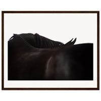 52c2e65d-f7d4-49cd-8f2c-e4e566434a8b