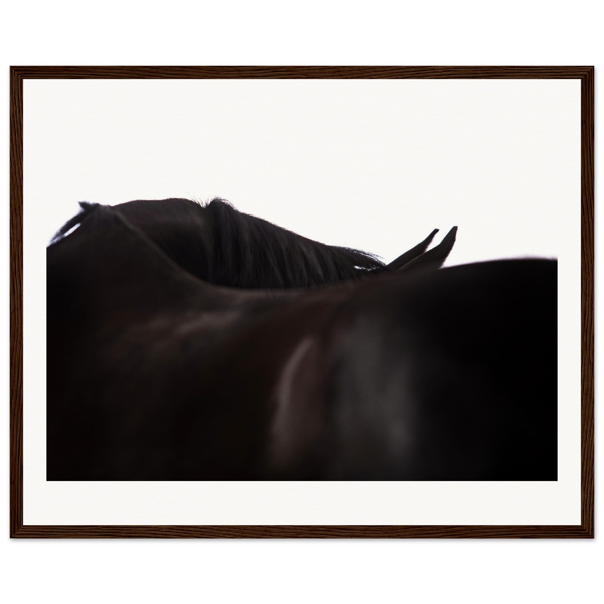 52c2e65d-f7d4-49cd-8f2c-e4e566434a8b