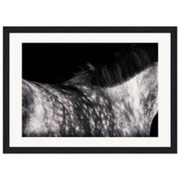 52ca7fd0-954e-4b39-9dc9-7222f91e9da8