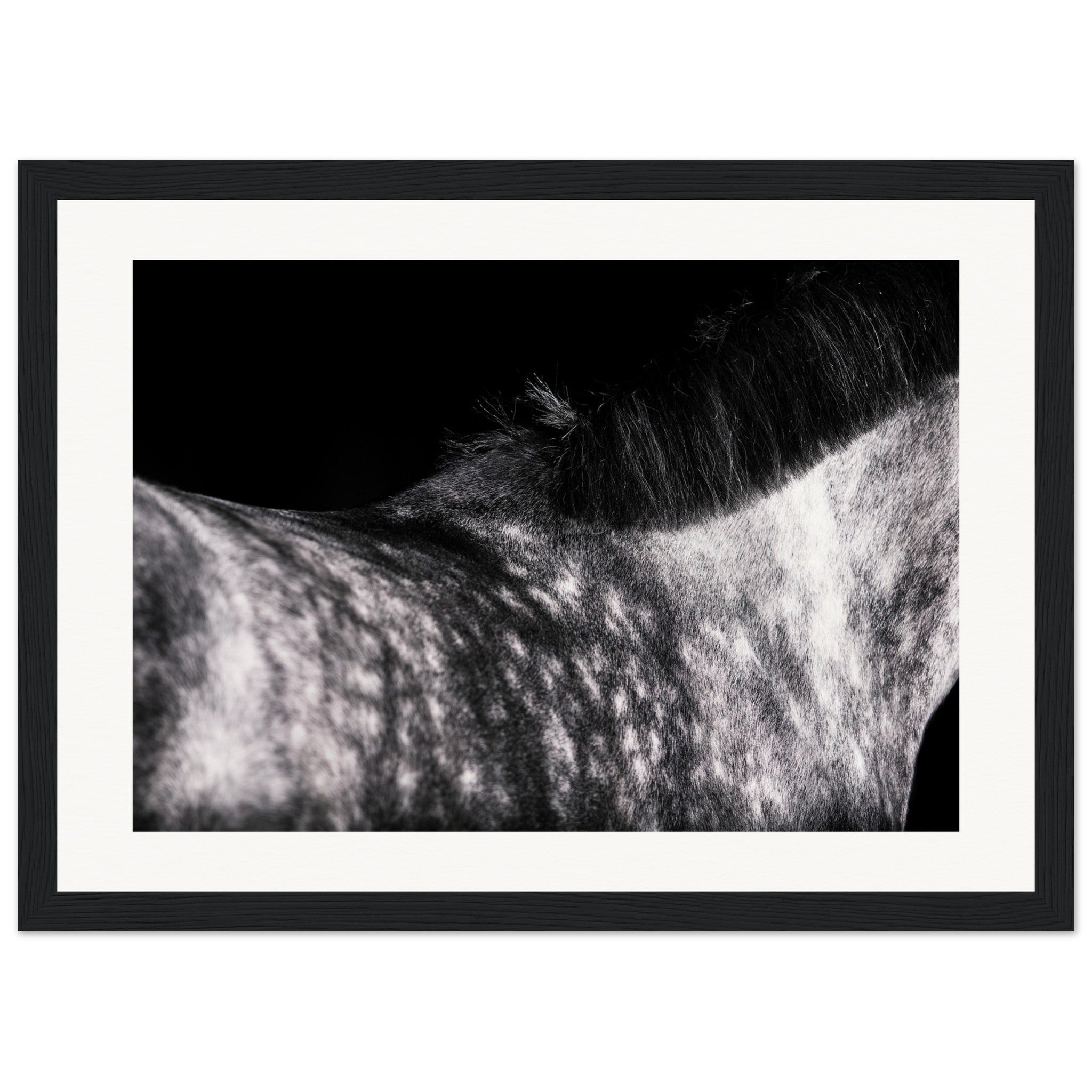 52ca7fd0-954e-4b39-9dc9-7222f91e9da8