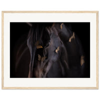 52cc27cd-88cd-4da4-87bc-d0d7f4166867