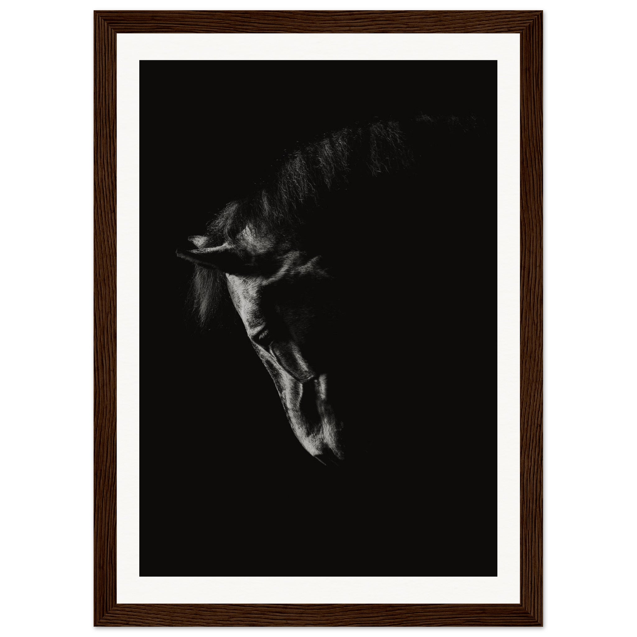 52f4fc68-7a1a-40d9-96aa-664f963caa45