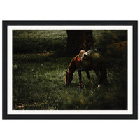 52fd3e0e-5f72-4b60-93a1-14b107d77f1d