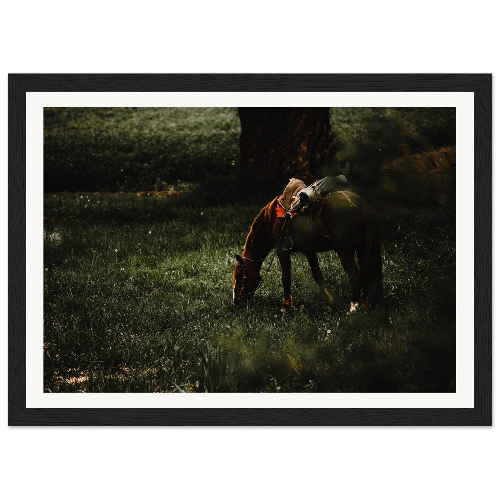 52fd3e0e-5f72-4b60-93a1-14b107d77f1d