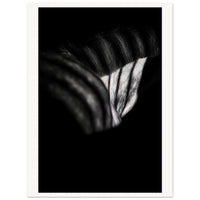 531bc00e-7725-41c7-b63e-24a5f697550e