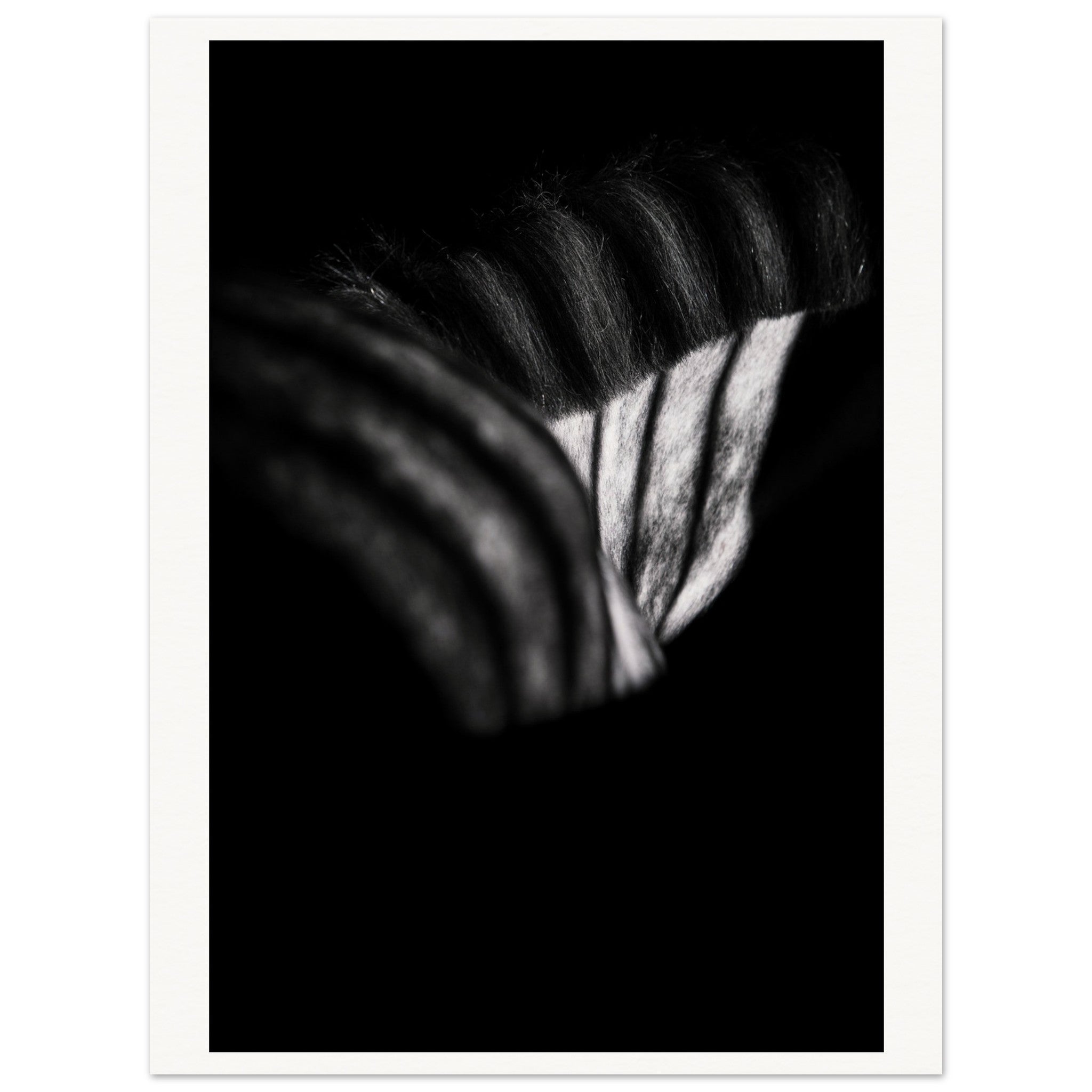 531bc00e-7725-41c7-b63e-24a5f697550e