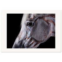 53739c5e-4fbf-4458-9504-605f33061f15