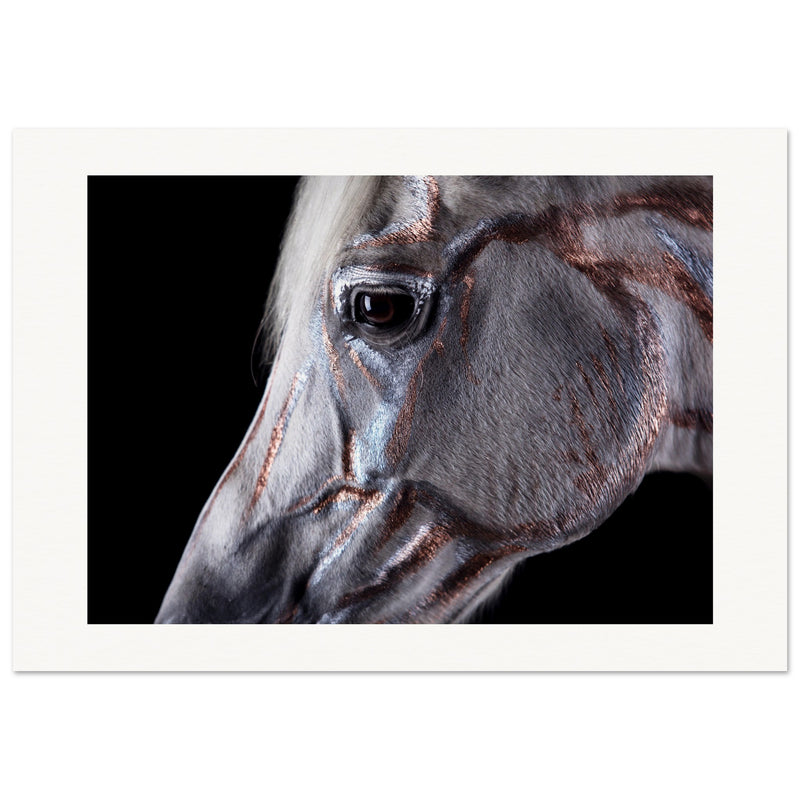 53739c5e-4fbf-4458-9504-605f33061f15