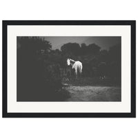 53928f9a-7c16-4355-9f38-935b1cd74226