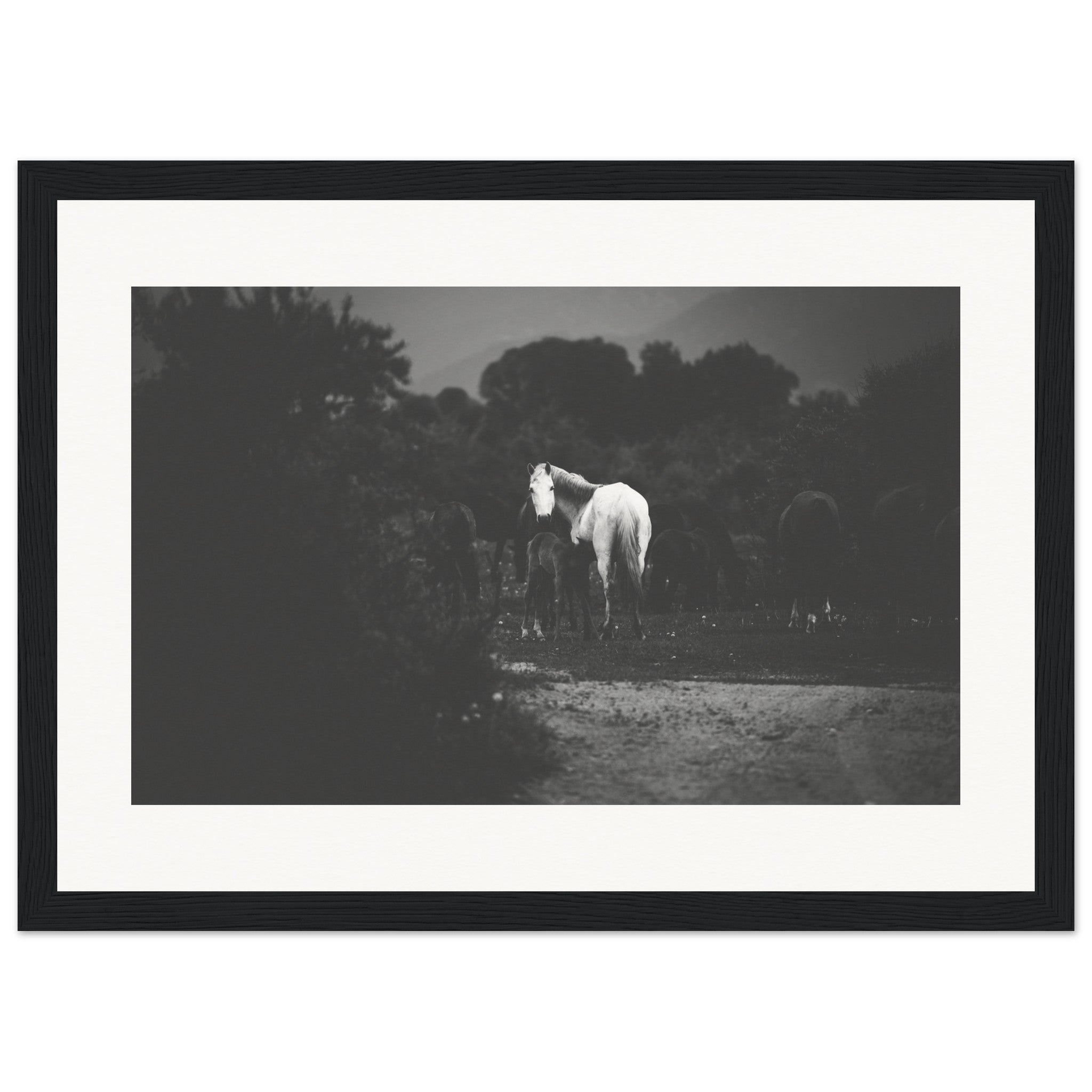 53928f9a-7c16-4355-9f38-935b1cd74226