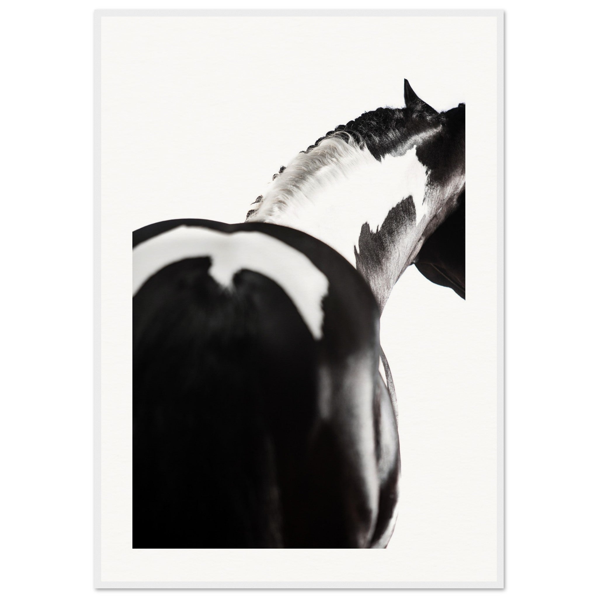 53d5a674-f63f-4153-8111-b16f62b74215