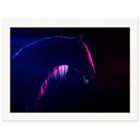 542e5851-17a2-4e77-879c-4cbad7cc8a51