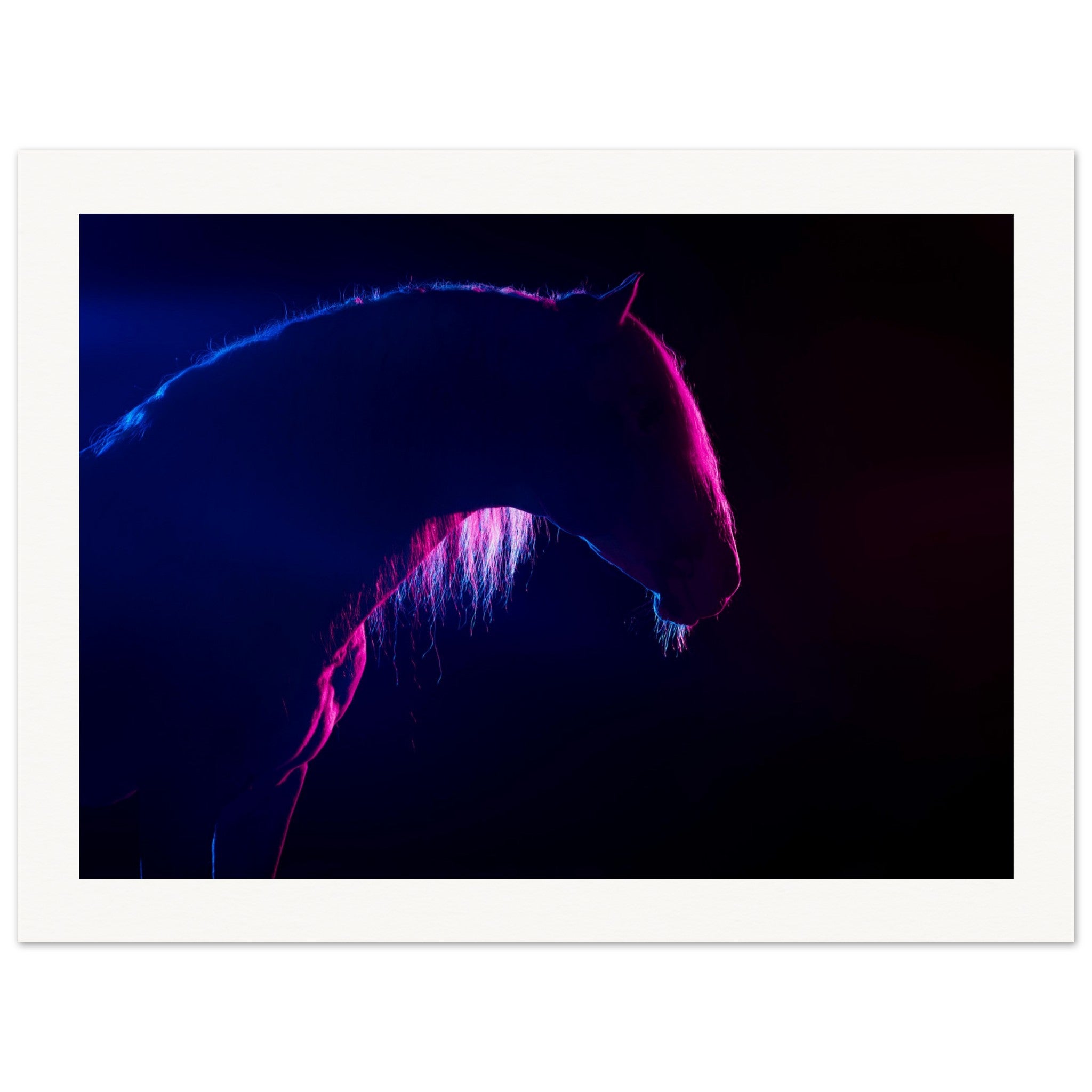 542e5851-17a2-4e77-879c-4cbad7cc8a51