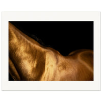 543110cd-53e1-42b0-8ee4-fac9d7b64a26