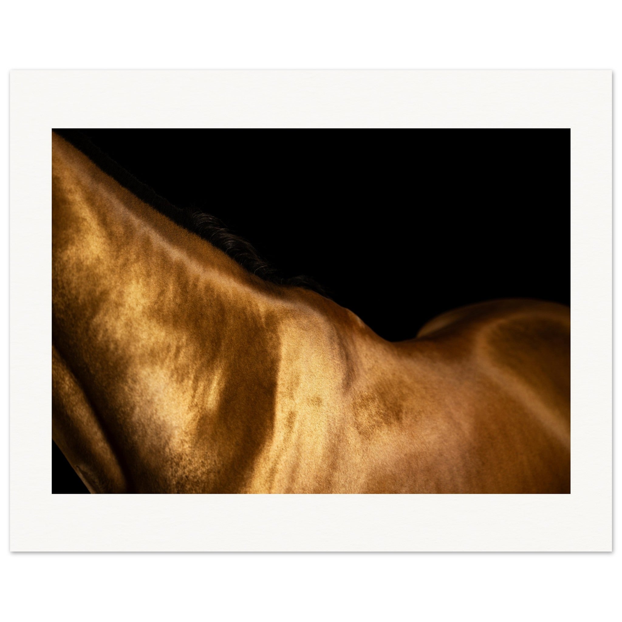 543110cd-53e1-42b0-8ee4-fac9d7b64a26