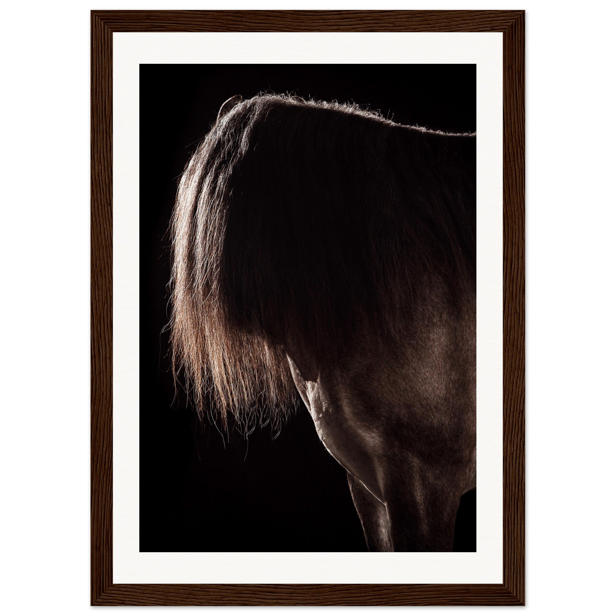 548932fc-5ca4-4d86-991f-3f4f0c9b3c8f